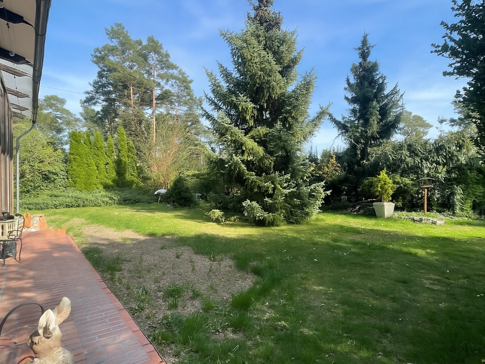 Ansicht Garten