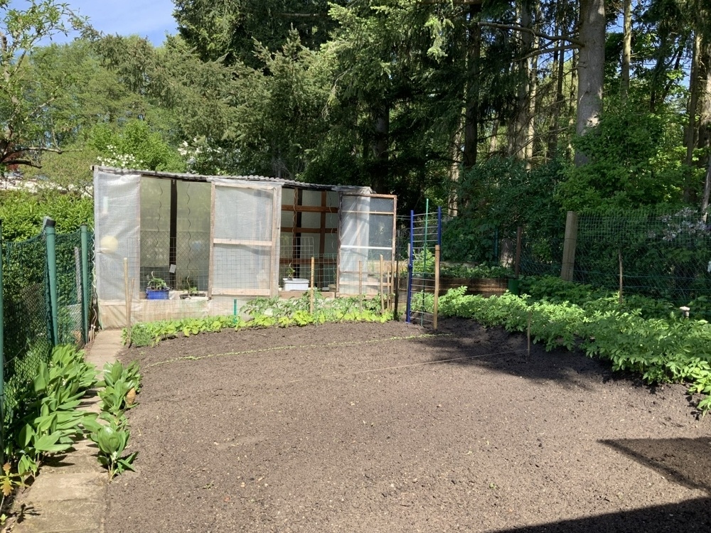 Garten hinterm Haus
