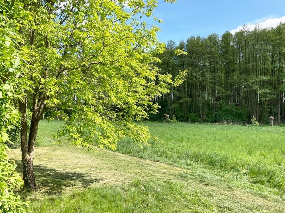 Natur pur