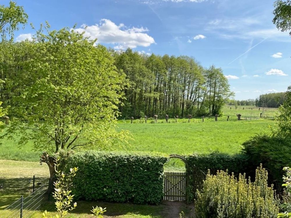 Einblick über den Gartenzaun