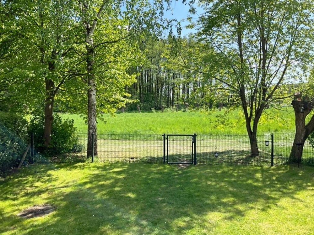Blick in den Garten