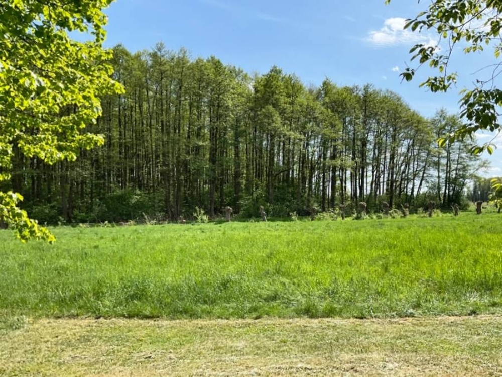 Natur pur