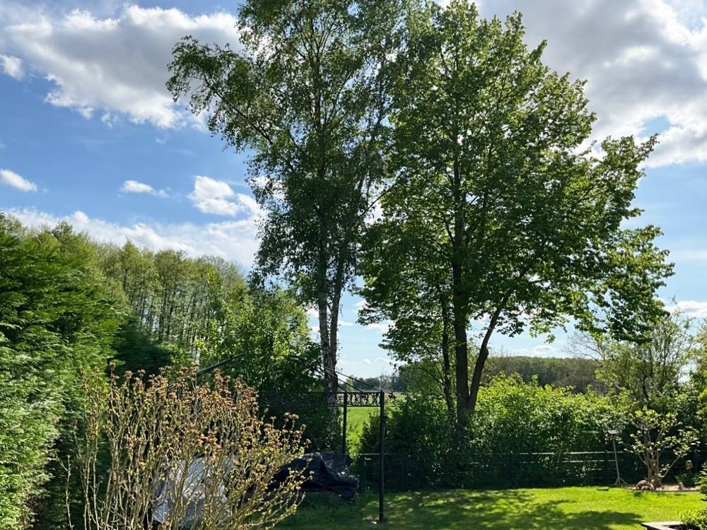 Natur pur