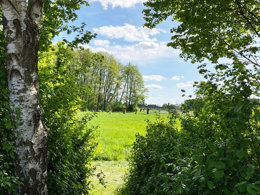 sehr weite Aussicht