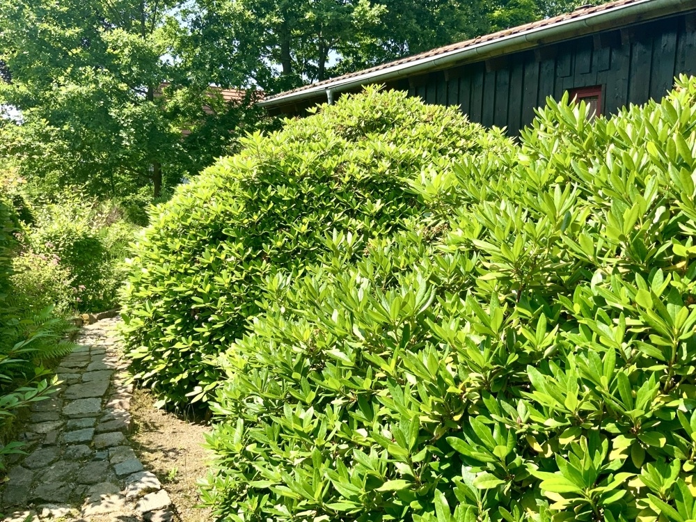 Angelegte Wege rund ums Haus