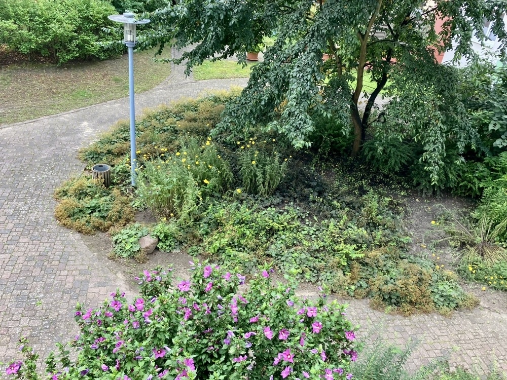 Blick in den Innenhof vom Balkon