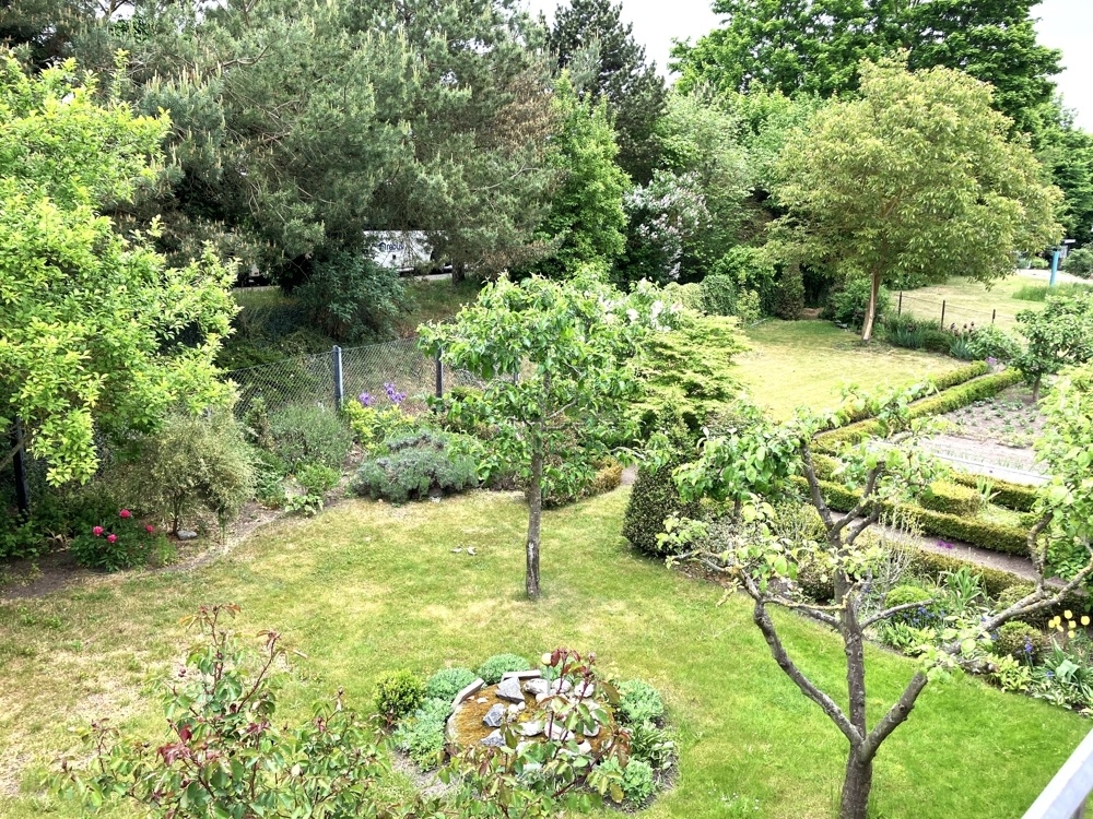 Naturidylle im Garten