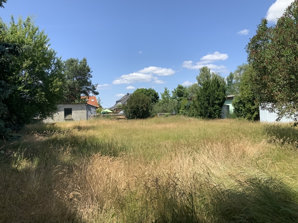 Blick in den Garten