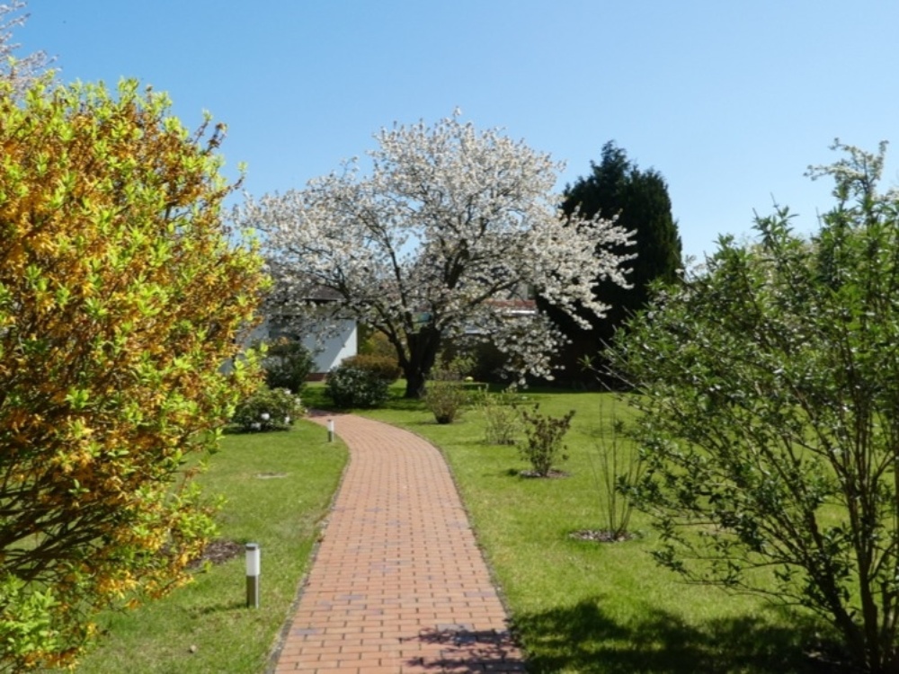 Mittelteil des Grundstücks
