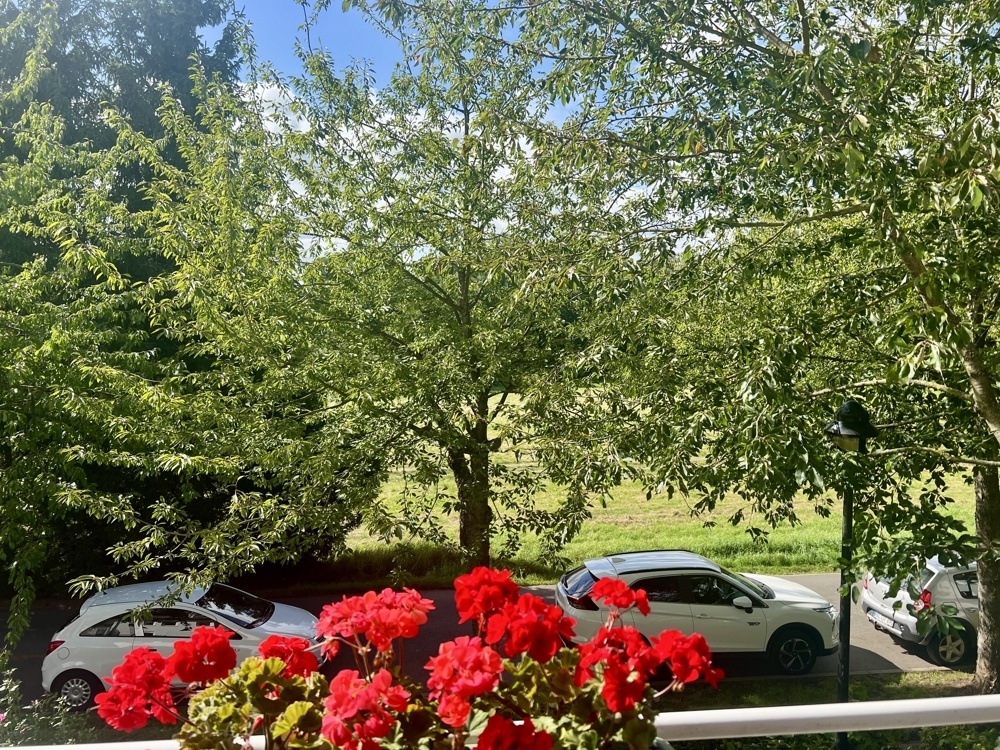 Blick vom Balkon