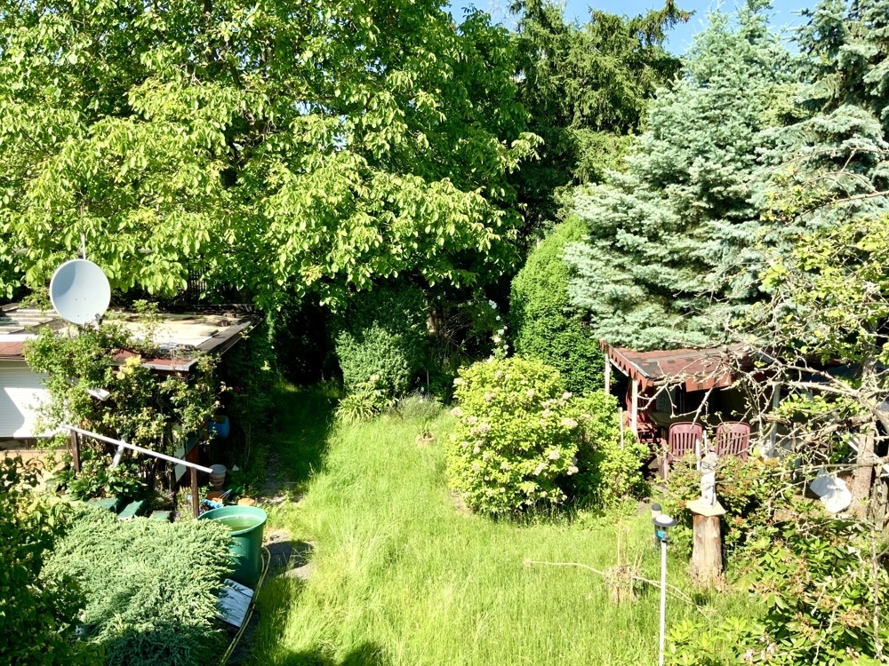 Blick über das Grundstück