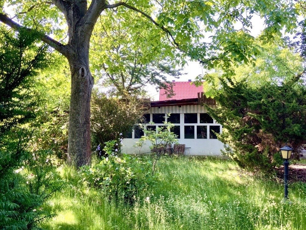 Ansicht zur Garage