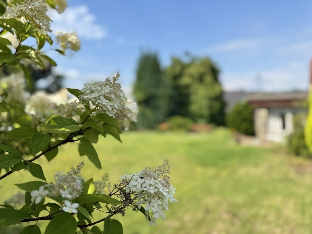Gartenimpressionen