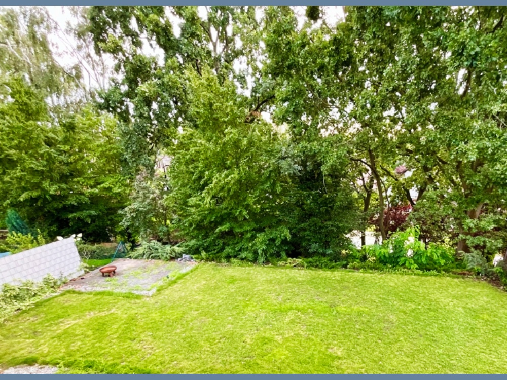 Blick in den Garten