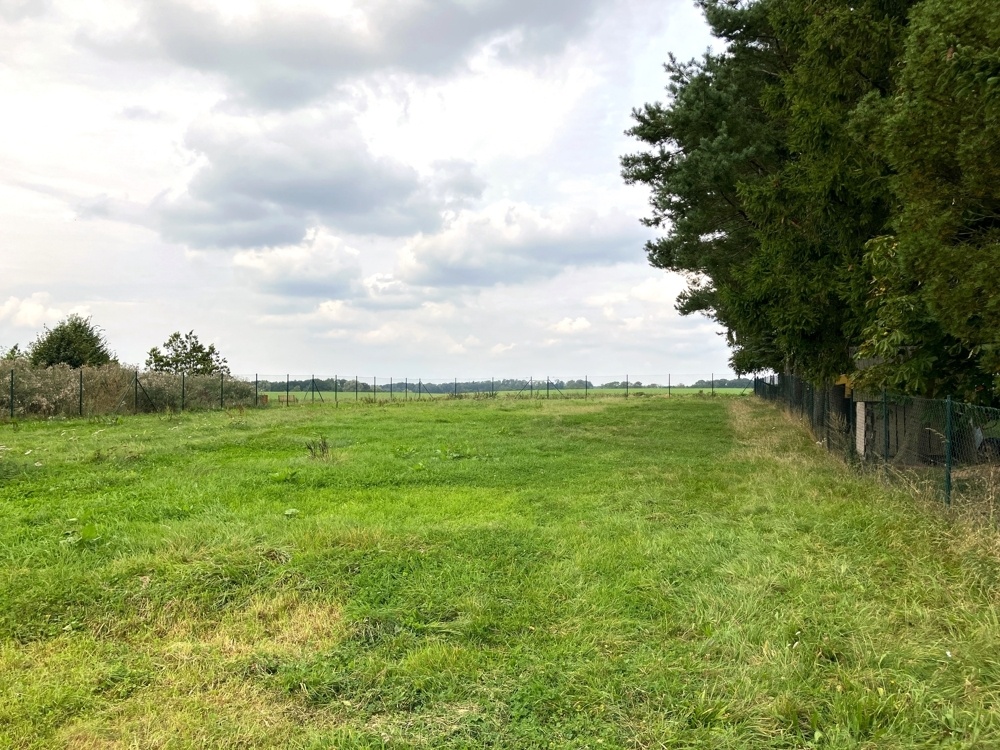 Grünfläche hinterm Haus