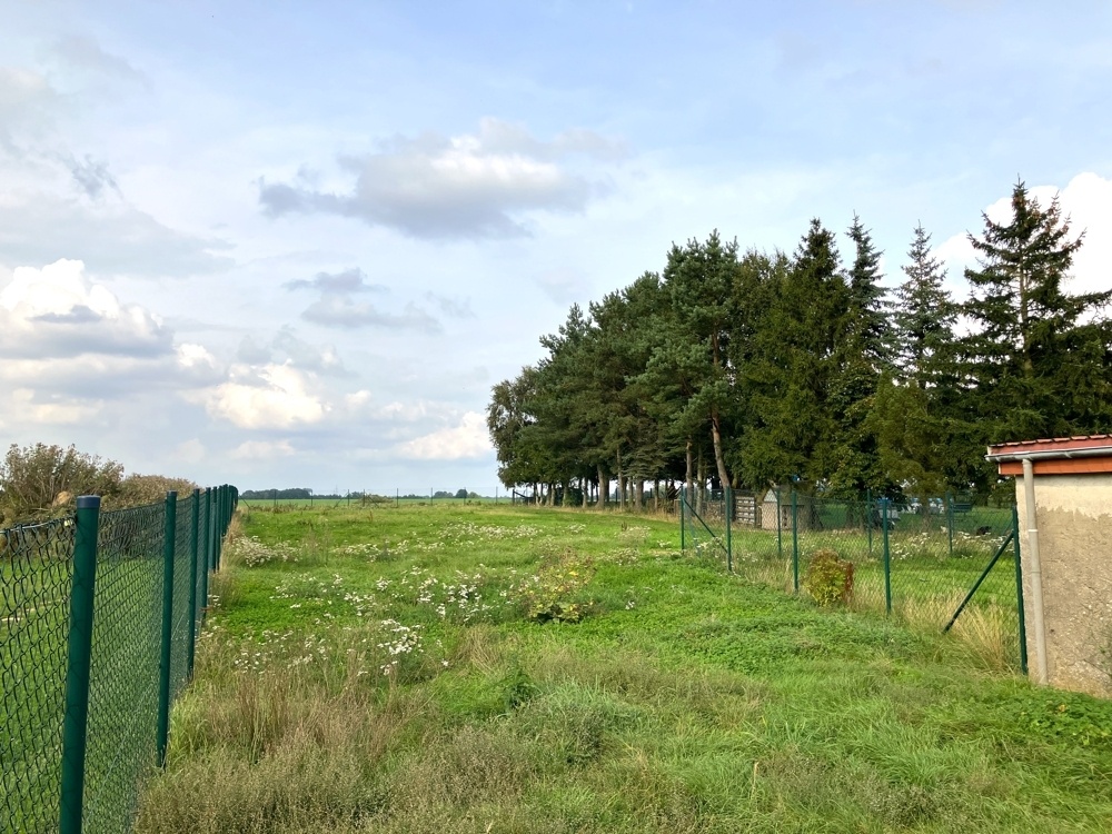 Außenbereich hinterm Haus 