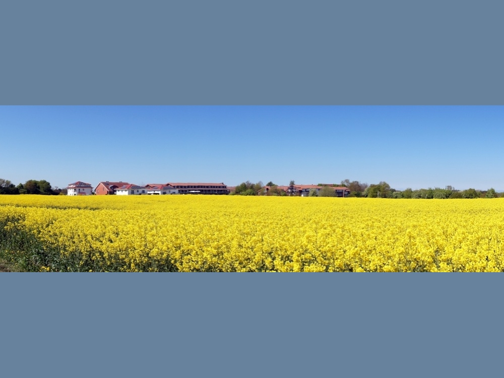 Panorama Blick