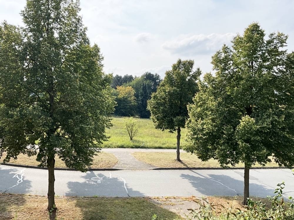 Natur pur
