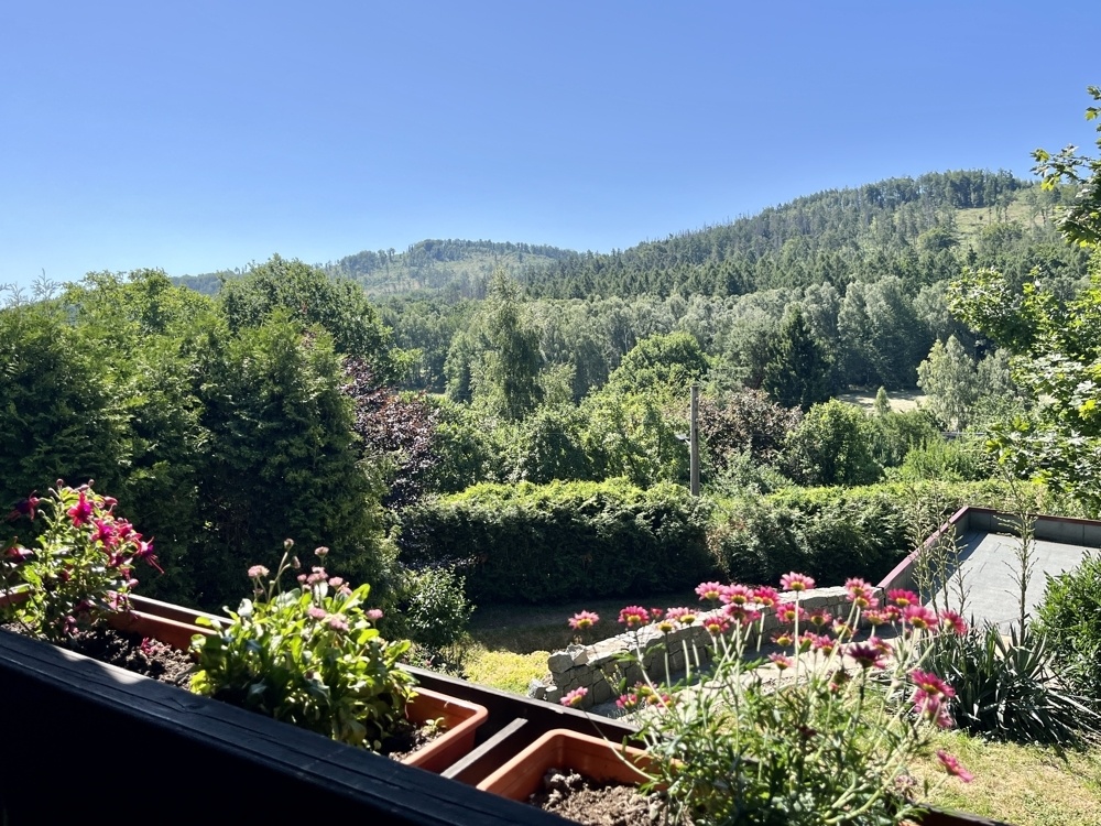 Ausblick vom Balkon Nebengebäude