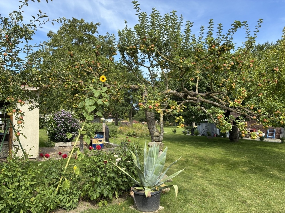 Garten