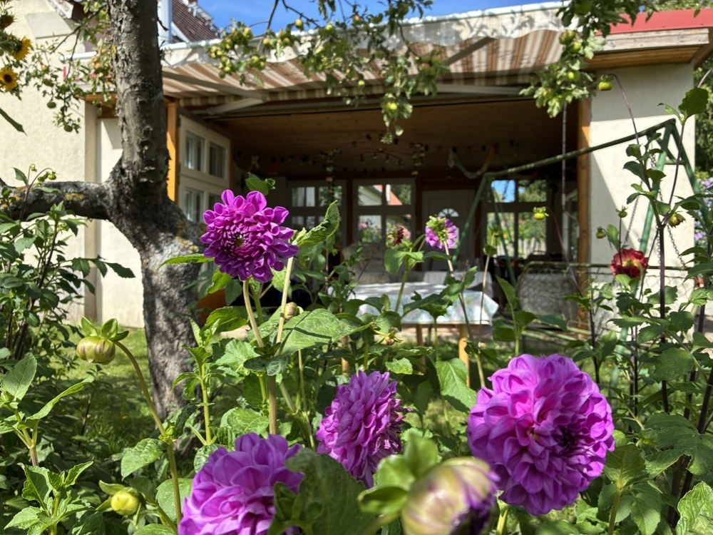 Gartenbilder