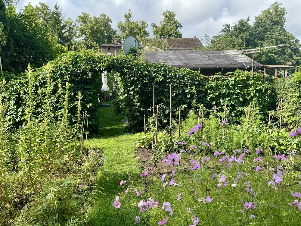 Gartenimpression