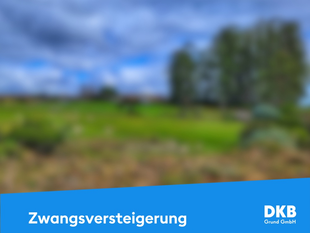 Zwangsversteigerung Grundstück.jpg