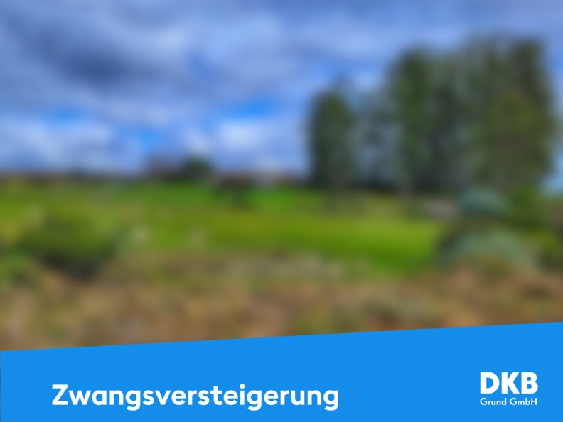 Zwangsversteigerung Grundstück.jpg