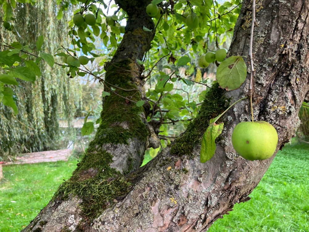 Garten mit Wasserzugang