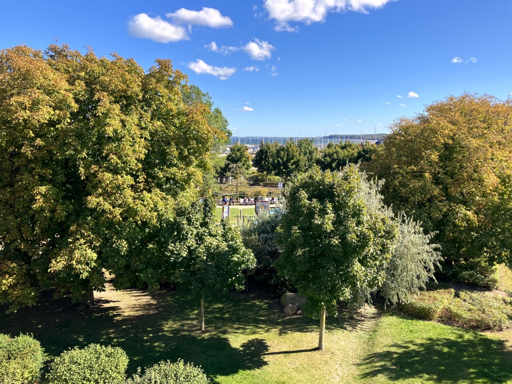 Blick ins Grüne