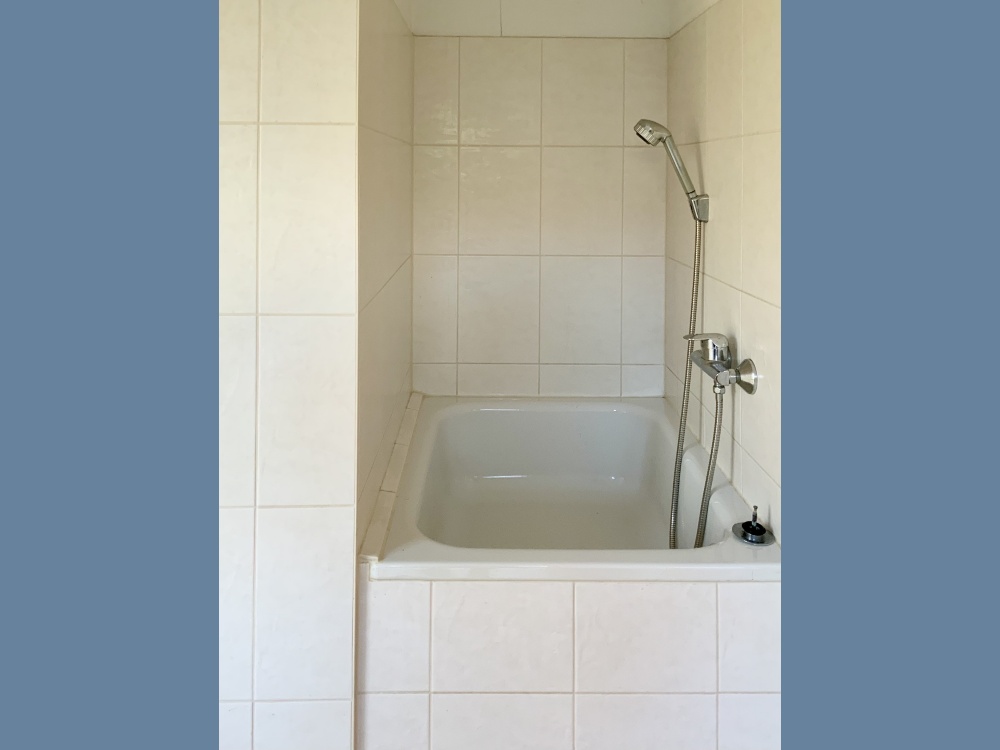Hundedusche