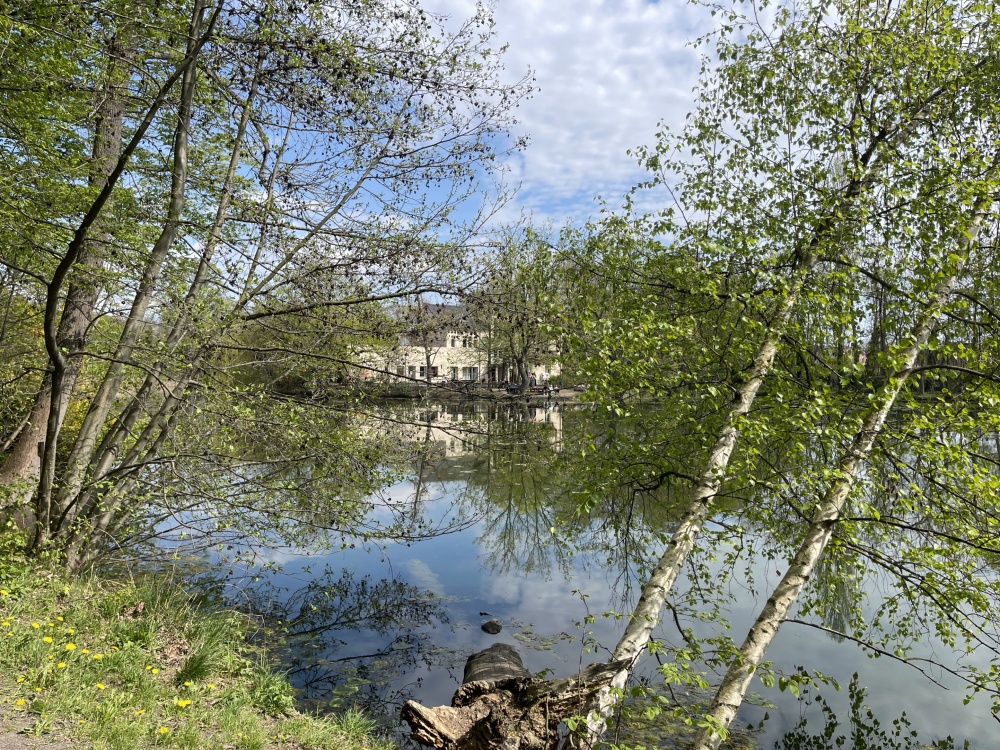 Schöner Teich in der Nähe
