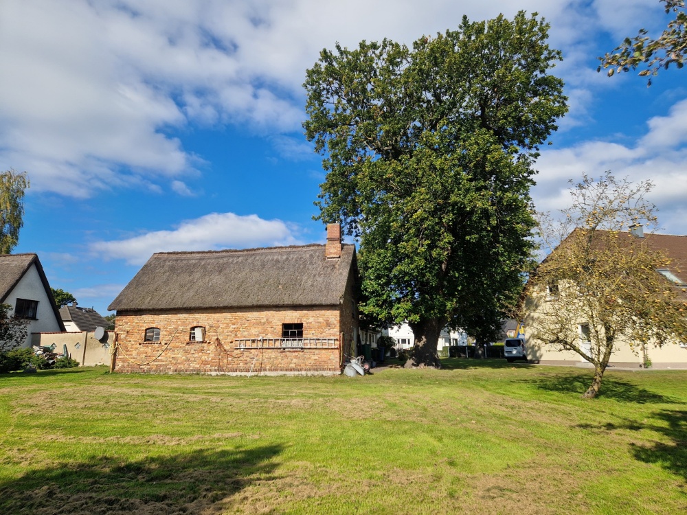 Grundstücksimpression