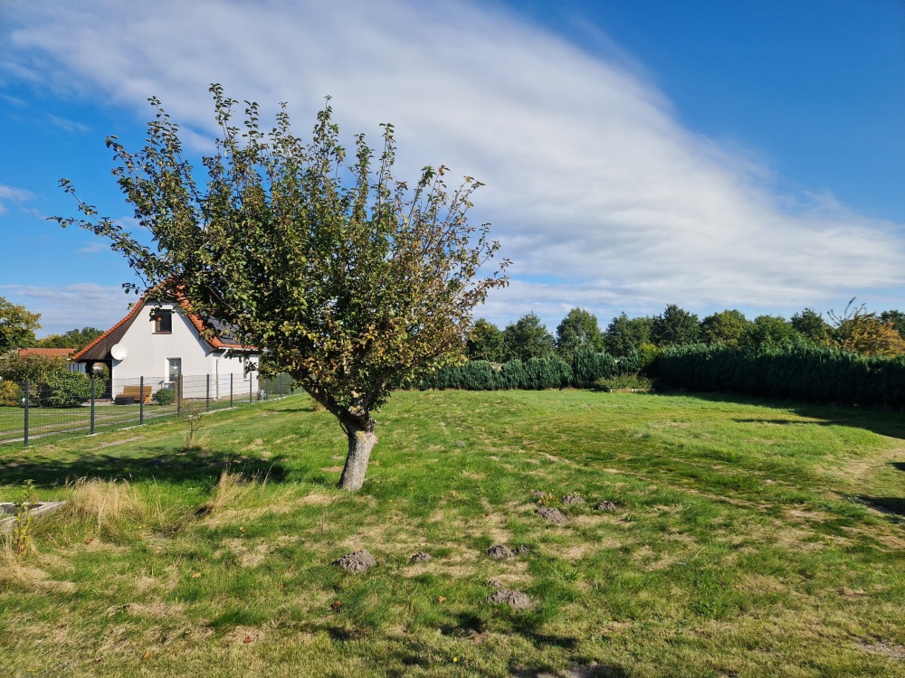 Grundstücksimpression Grundstücksimpression