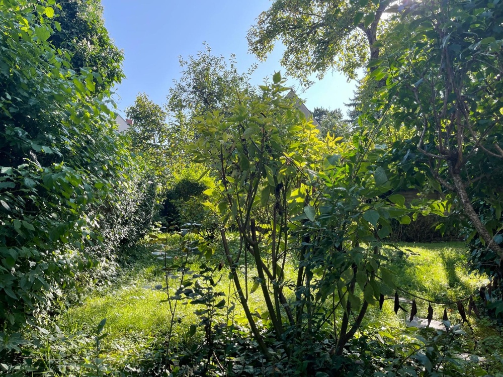 Gartenfläche hinter dem Haus (2)