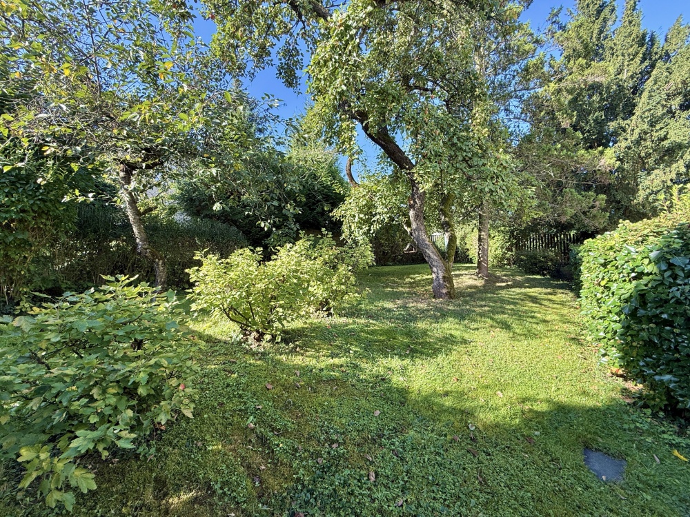 Gartenfläche hinter dem Haus