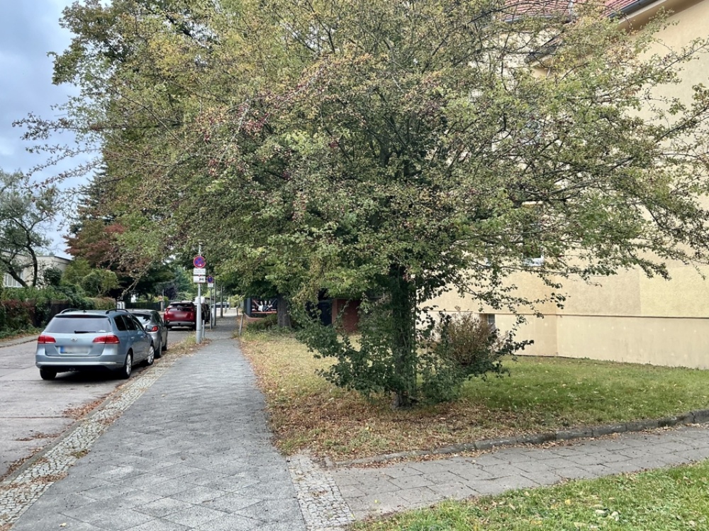 Blick in die Straße