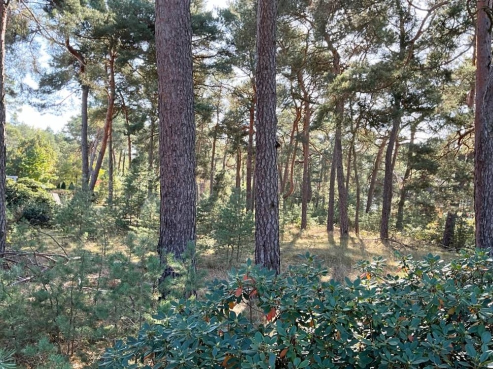 Baugrundstück Nachbar