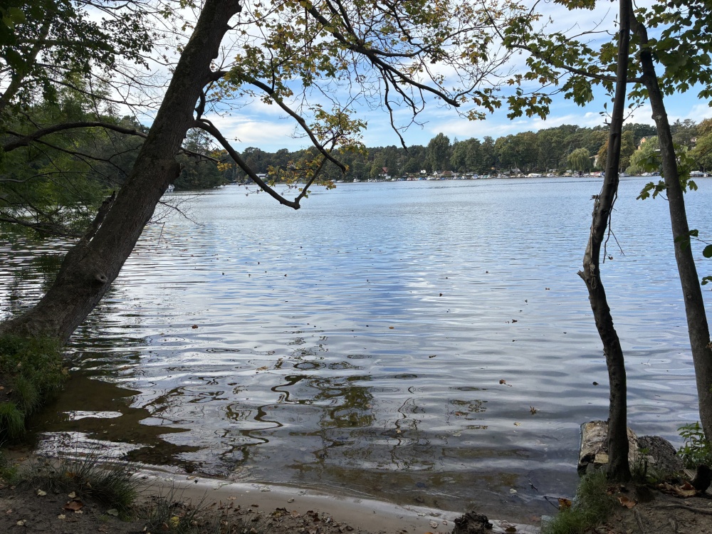 Badesee im Wald 