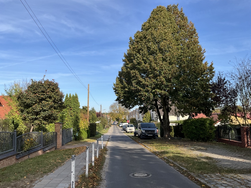 Straßenallee 