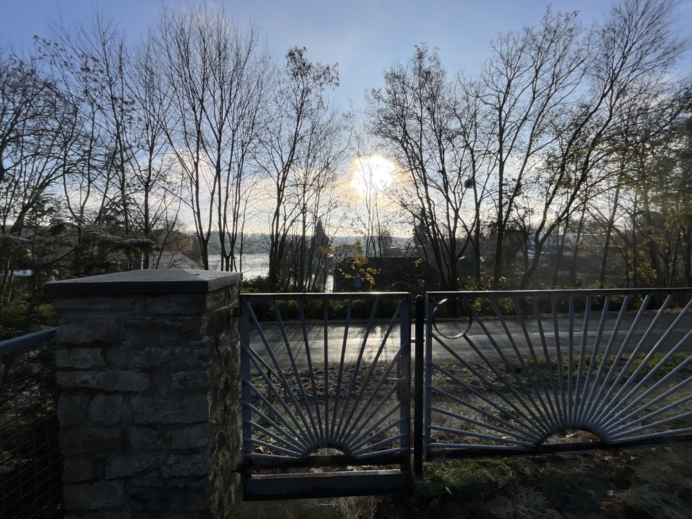 Seeblick aus dem Garten 