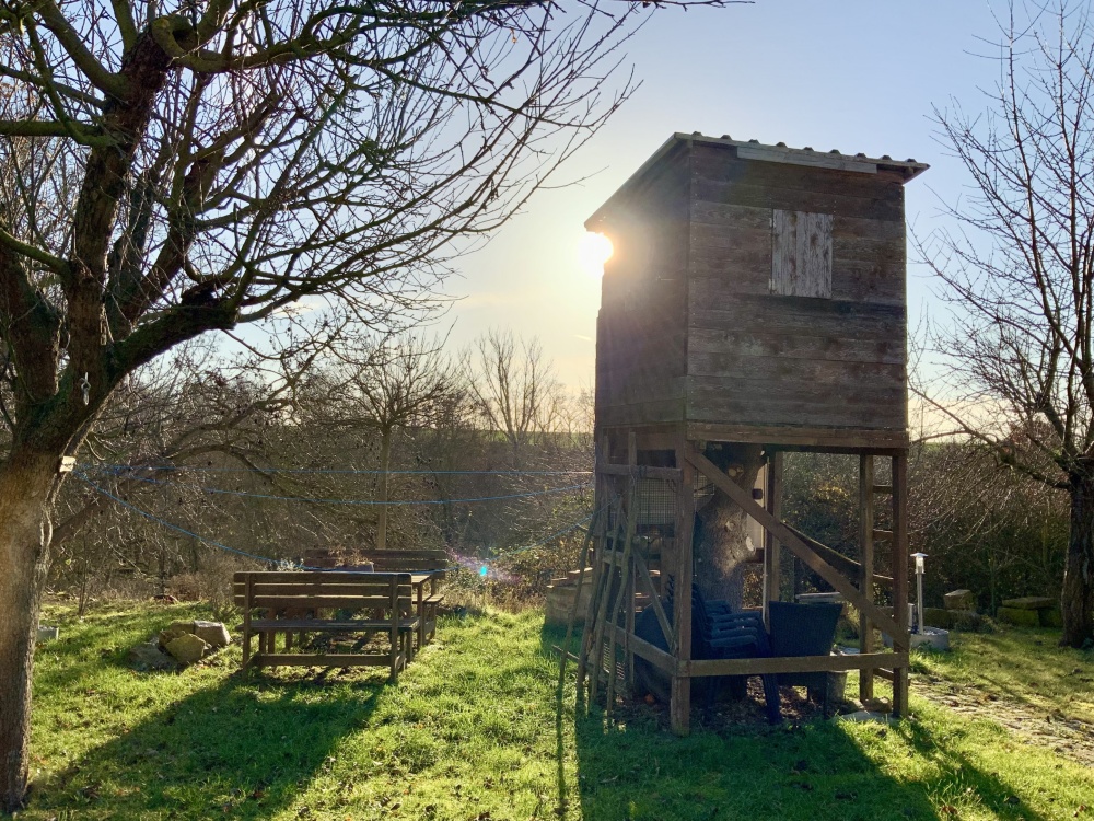 Garten mit Baumhaus