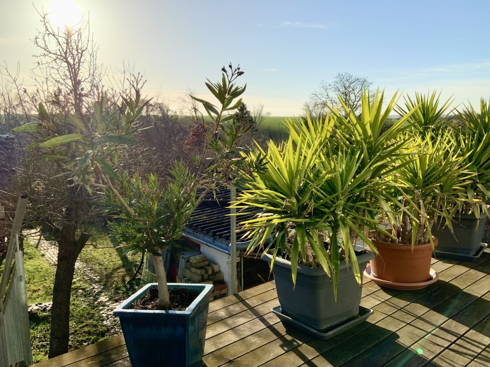 Blick von der Terrasse