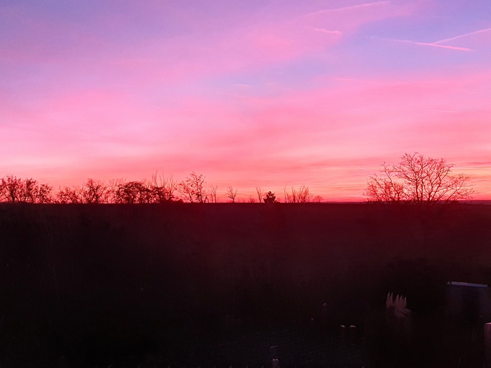 Ausblick am Abend