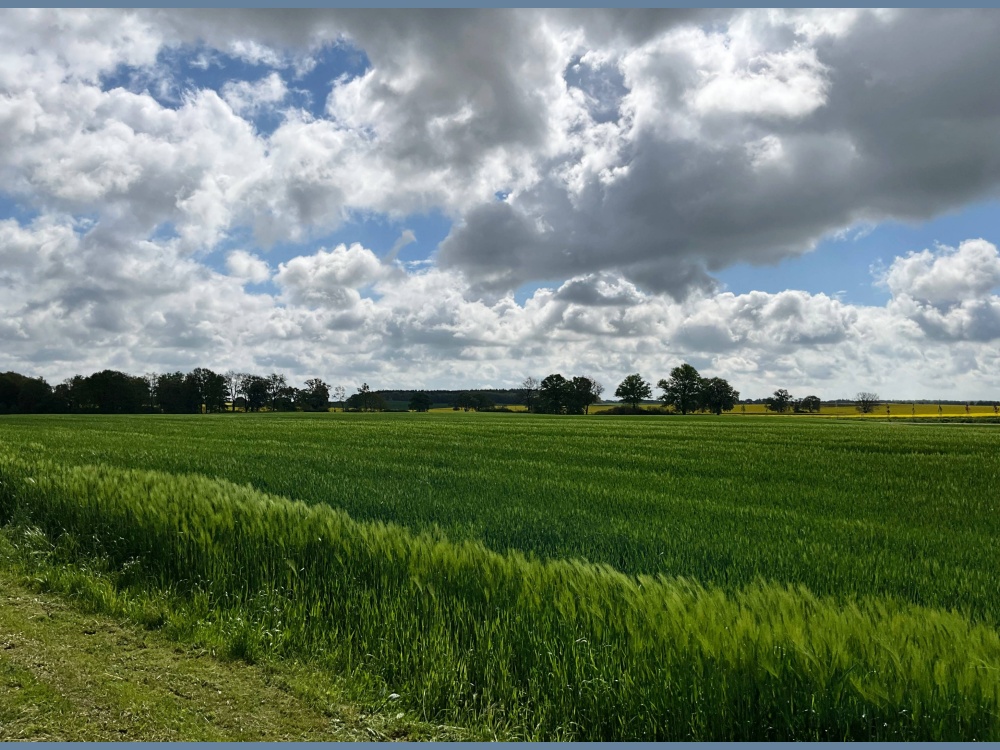 Blick vom Hinterhof