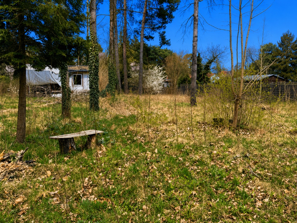 Blick auf das Grundstück