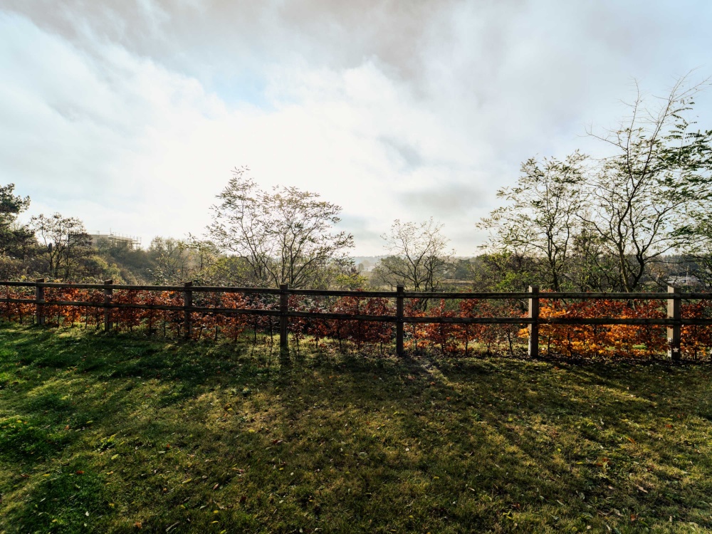 Südterrasse mit Ausblick