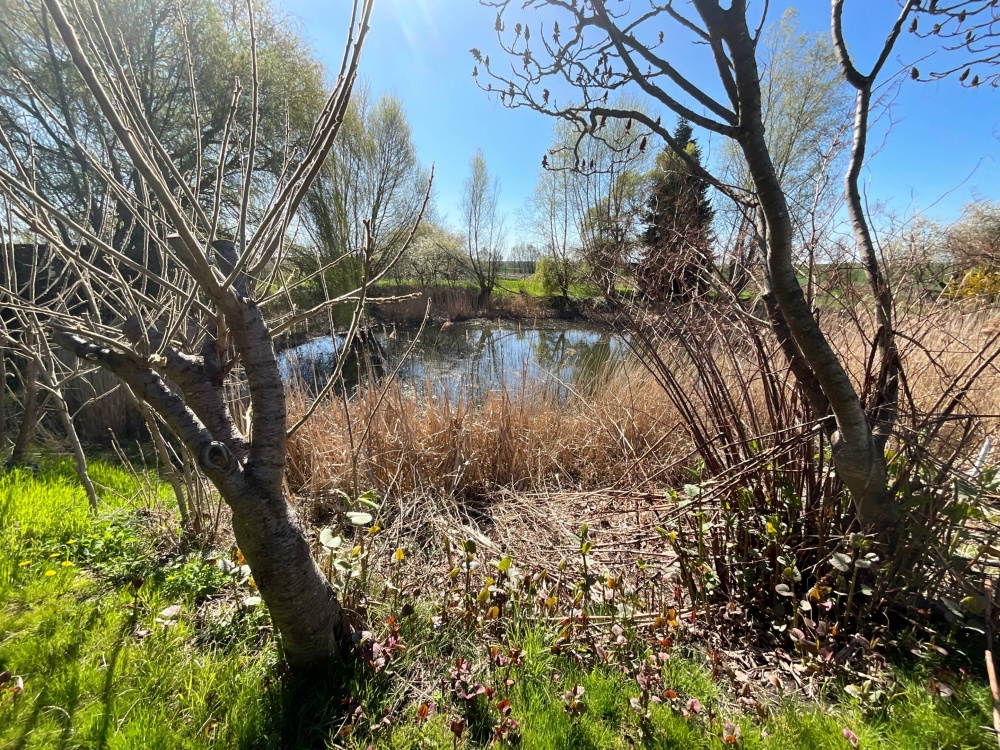 Natur pur