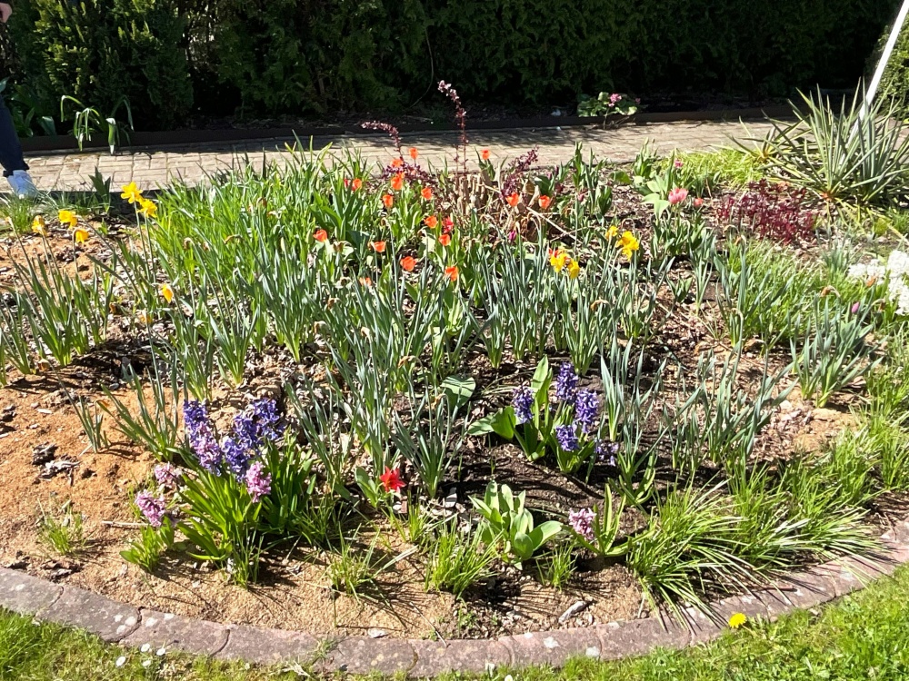 Blumenbeet