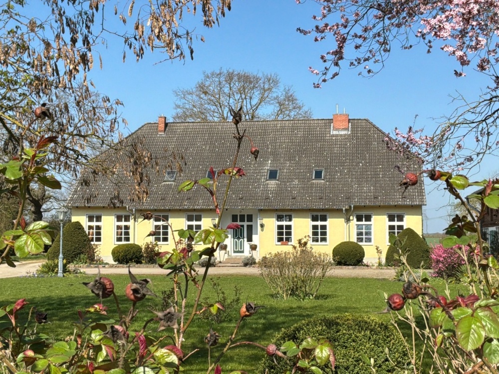 Hausansicht vorne
